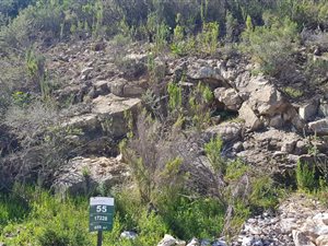 665 m² Land available in Fairhaven Country Estate