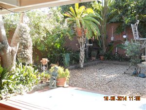 Studio Apartment in Bellville Central
