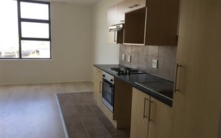 1 Bedroom Apartment in Zonnebloem