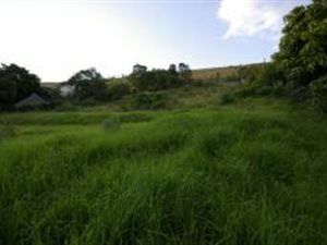 4676 m² Land available in Waverley