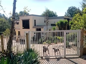 5 Bed House in Floracliffe