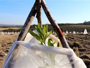 15 ha Farm in Mossel Bay