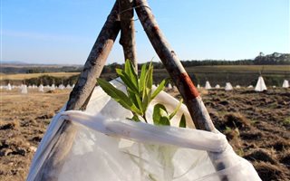 15 ha Farm in Mossel Bay