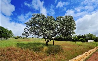1912 m² Land available in Darling