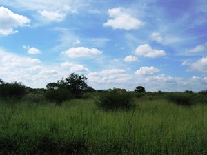 10.7 ha Land available in Northam