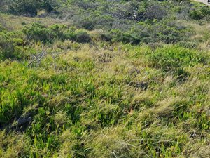 400 m² Land available in Moquini Coastal Estate