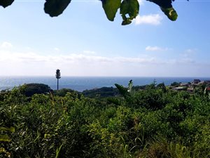 1196 m² Land available in Hibberdene
