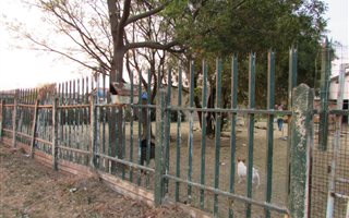 2 Bedroom House in Brenthurst