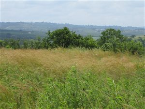 19 ha Farm in Nelspruit