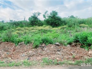 572 m² Land available in Tongaat Central