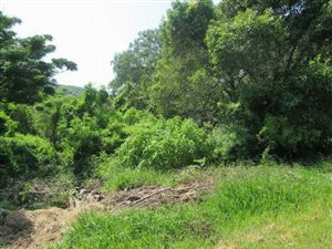 9.8 ha Land available in Doon Heights