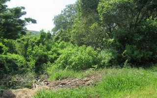9.8 ha Land available in Doon Heights