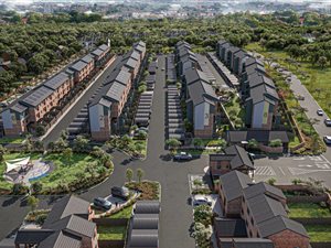 2 Bed Apartment in Rosslyn