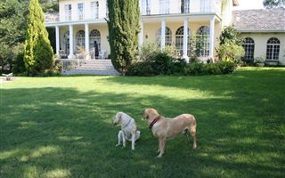 5 Bedroom House in Lammermoor