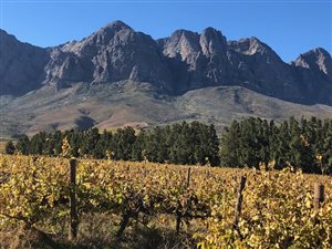 100 ha Farm in Worcester and surrounds