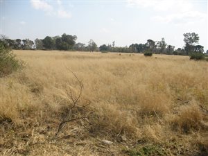1 ha Land available in Martindale