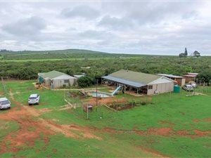 24 ha Farm in Uitenhage Central