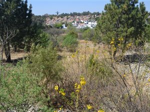 2.3 ha Land available in North Riding