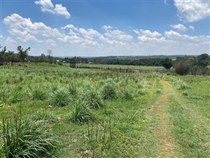 8 ha Land available in Tiegerpoort