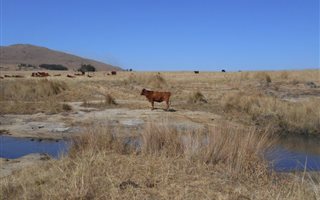 674 ha Farm in Vryheid