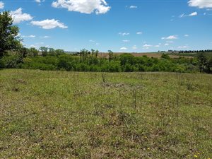 2.3 ha Farm in Mooi River