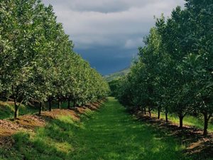 21 ha Farm in Nelspruit