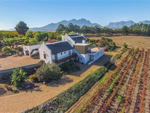4 ha Farm in Stellenbosch Agricultural