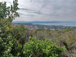 1054 m² Land available in Whale Rock Heights