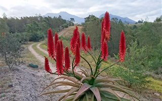 21 ha Farm in Mossel Bay