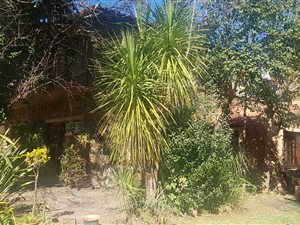 5 Bed House in Songloed