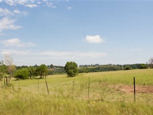 5 ha Land available in Sun Valley