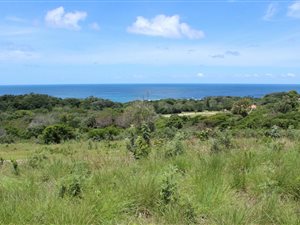 866 m² Land available in Cintsa