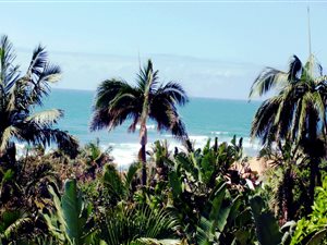 3 Bed House in Zinkwazi Beach
