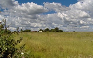 24.8 ha Farm in Ventersdorp