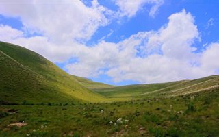 215 ha Farm in Herbertsdale