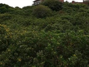 1003 m² Land available in Beachview