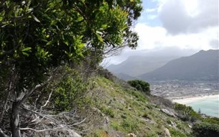 842 m² Land available in Fish Hoek