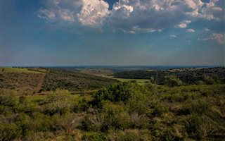 530 ha Farm in Alexandria