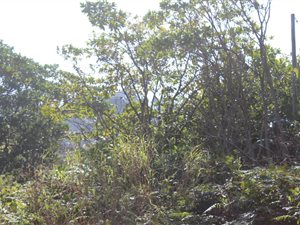 1129 m² Land available in Port Edward