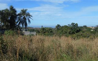 1249 m² Land available in Kei Mouth