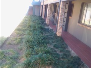 2 Bedroom Apartment in Edleen