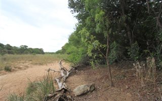 1 ha Land available in Raptors View Wildlife Estate