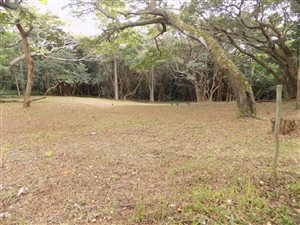 1556 m² Land available in Woodgrange