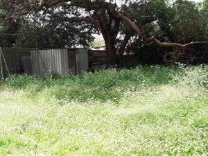 1252 m² Land available in Pretoria North