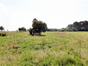 8.7 ha Farm in Broederstroom