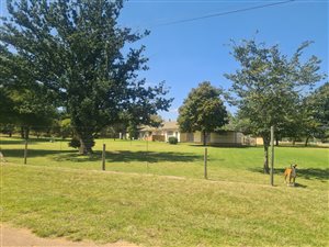 2.2 ha Smallholding in Marister