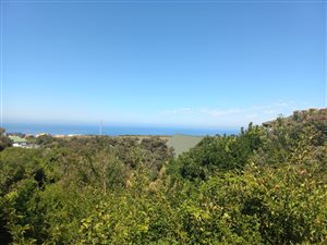 973 m² Land available in Outeniqua Strand