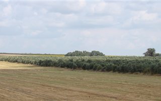 226 ha Farm in Lichtenburg