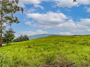12 ha Farm in Camperdown