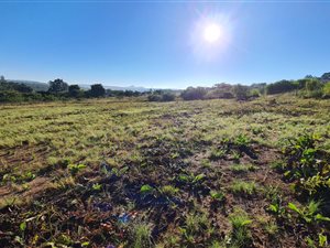 1 ha Land available in White River